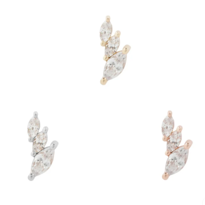 Multiplicity
