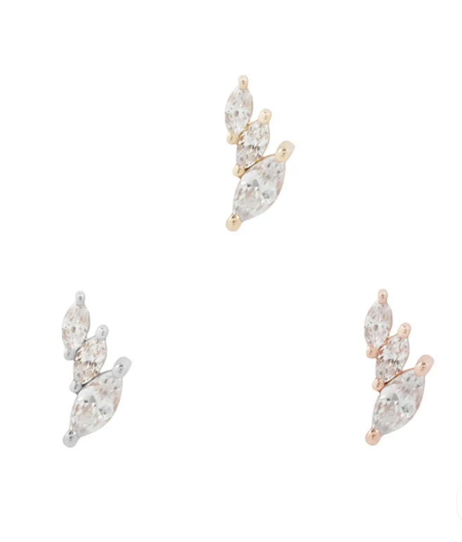 Multiplicity