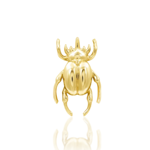 Beetle