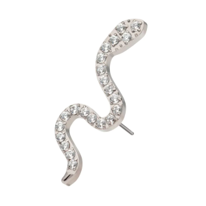 Snakey